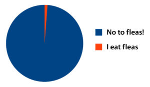 Pie chart of no to fleas and I eat fleas